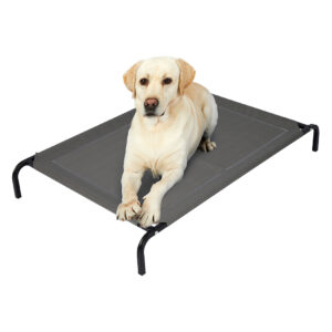 Dog trampoline bed